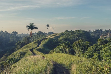 Ubud, Bali
